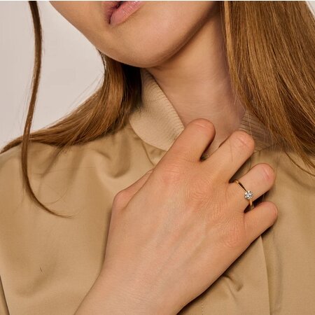 Blush Blush Ring 14k geelgoud met zirkonia 1248YZI