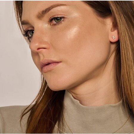 Blush Blush Oorstekers 14k geelgoud met zirkonia 7301YZI