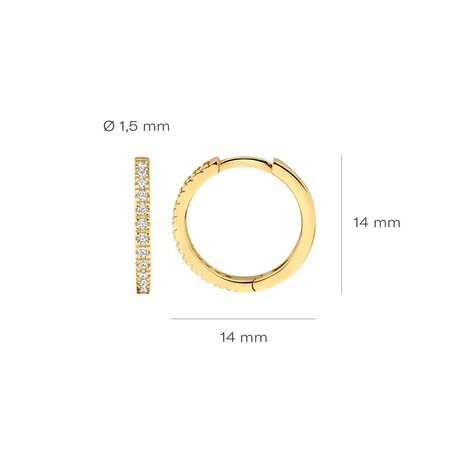 Blush Blush Creolen 14k geelgoud met zirkonia 7309YZI