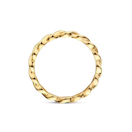 Blush Blush Ring 14k geelgoud met zirkonia 1259YZI