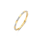 Blush Blush Ring 14k geelgoud met zirkonia 1260YZI
