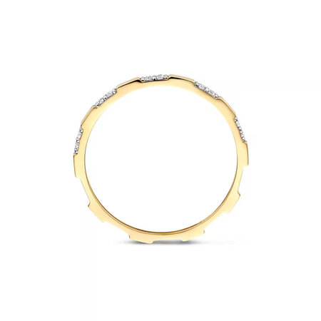 Blush Blush Ring 14k geelgoud met zirkonia 1260YZI