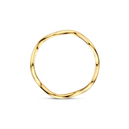 Blush Blush Ring 14k geelgoud 1261YGO