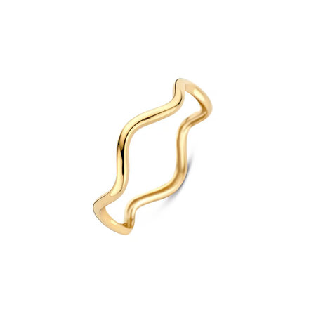 Blush Blush Ring 14k geelgoud 1261YGO