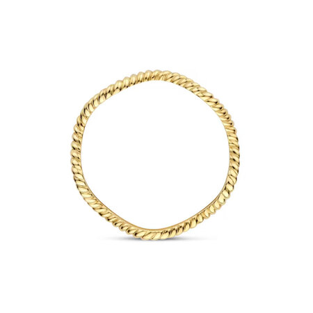 Blush Blush Ring 14k geelgoud 1263YGO