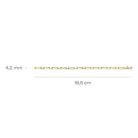 Blush Blush Armband 14k geelgoud 2251YGO