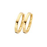 Blush Blush Creolen 14k geelgoud 7308YGO