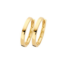 Blush Blush Creolen 14k geelgoud 7308YGO