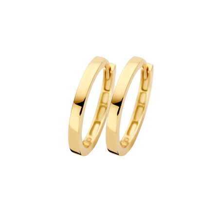 Blush Blush Creolen 14k geelgoud 7308YGO