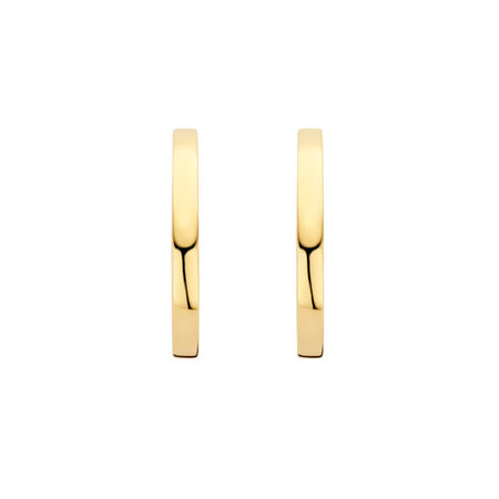 Blush Blush Creolen 14k geelgoud 7308YGO