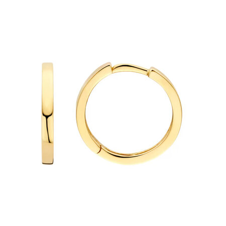 Blush Blush Creolen 14k geelgoud 7308YGO