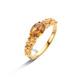 Mrs.Janssen Mrs.Janssen Ring 14k Geelgoud met Citrien en Rookkwarts 614089