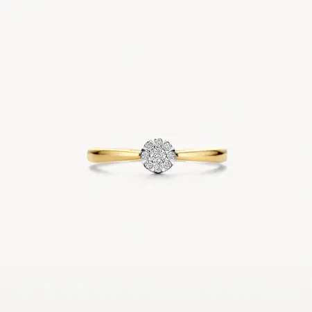 Blush Blush Diamonds Ring 14k bicolor met diamant 1676BDI