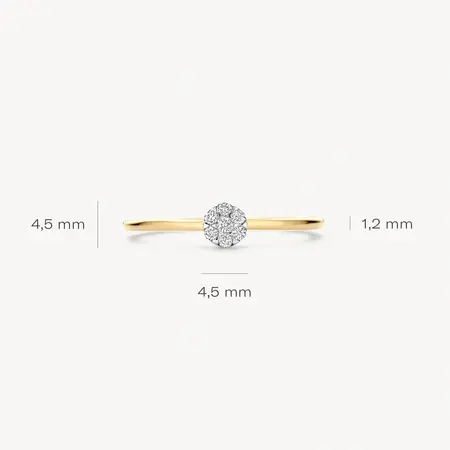 Blush Blush Diamonds Ring 14k bicolor met diamant 1680BDI