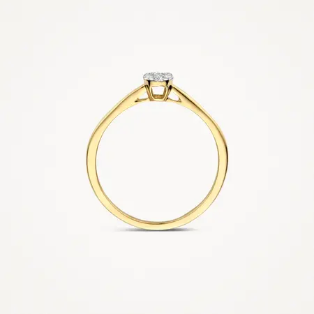 Blush Blush Diamonds Ring 14k bicolor met diamant 1680BDI