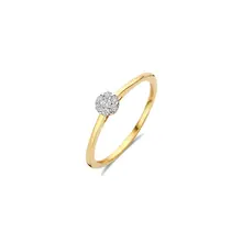 Blush Blush Diamonds Ring 14k bicolor met diamant 1680BDI