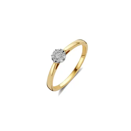 Blush Blush Diamonds Ring 14k bicolor met diamant 1676BDI