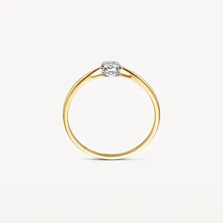 Blush Blush Diamonds Ring 14k bicolor met diamant 1675BDI