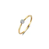 Blush Blush Diamonds Ring 14k bicolor met diamant 1675BDI