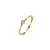 Blush Blush Diamonds Ring 14k bicolor met diamant 1675BDI