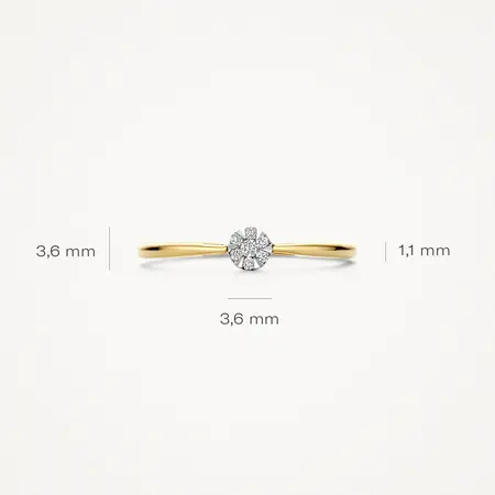 Blush Blush Diamonds Ring 14k bicolor met diamant 1675BDI