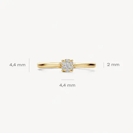 Blush Blush Diamonds Ring 14k geelgoud met diamant 1665YDI