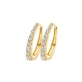 Blush Blush Creolen 14k geelgoud met zirkonia 7342YZI