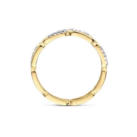 Blush Blush Ring 14k bicolor met zirkonia 1256BZI