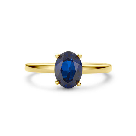 HuisCollectie HuisCollectie Ring 14k geelgoud met Saffier 614521