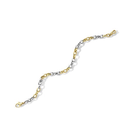 HuisCollectie HuisCollectie Armband 14k bicolor goud fantasie schakel 4mm  19cm 610579