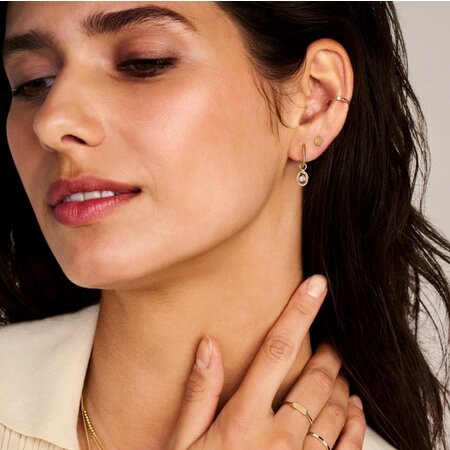 Blush Blush Oorstekers 14k geelgoud 7350YGO