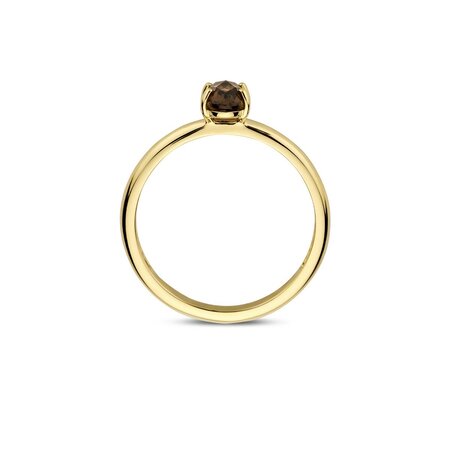 Blush Blush Ring 14k geelgoud met Rookkwarts 1242YSQ