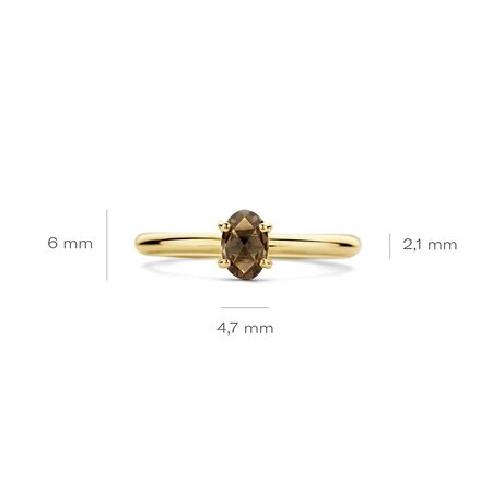 Blush Blush Ring 14k geelgoud met Rookkwarts 1242YSQ