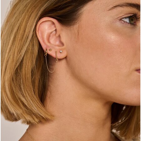 Blush Blush Creolen 14k geelgoud 7264YGO