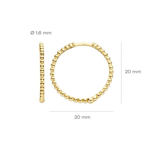 Blush Blush Creolen 14k geelgoud 7291YGO