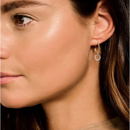 Blush Blush Creolen 14k geelgoud 7291YGO