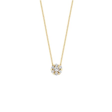 Blush Blush Collier 14k geelgoud met zirkonia 3097YZI