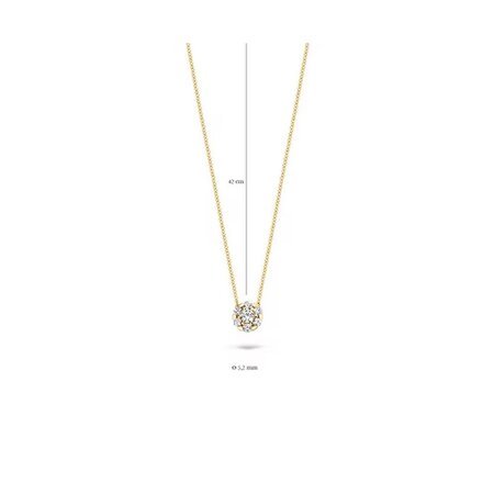 Blush Blush Collier 14k geelgoud met zirkonia 3097YZI