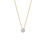 Blush Blush Diamonds Collier 14k bicolor met diamant 3600BDI