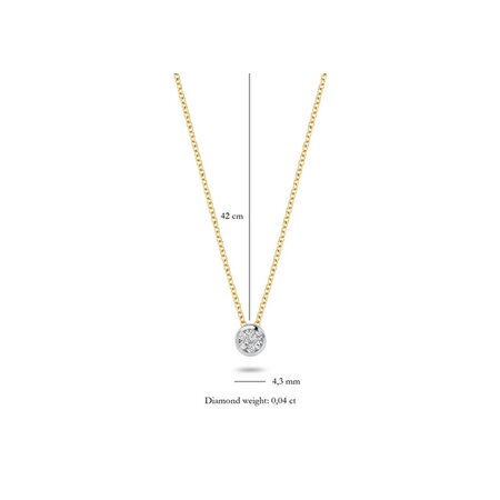 Blush Blush Diamonds Collier 14k bicolor met diamant 3600BDI