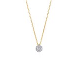 Blush Blush Diamonds Collier 14k Geelgoud met 0.09ct diamant 3616BDI