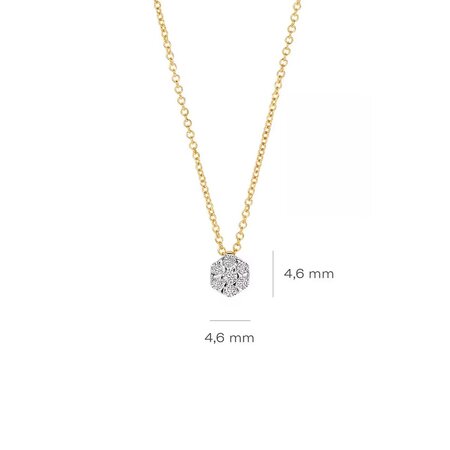 Blush Blush Diamonds Collier 14k Geelgoud met 0.09ct diamant 3616BDI