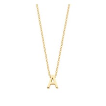 Blush Blush Collier 14k geelgoud 3155YGO