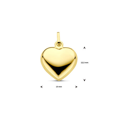 HuisCollectie HuisCollectie Hanger 14k geelgoud 22176