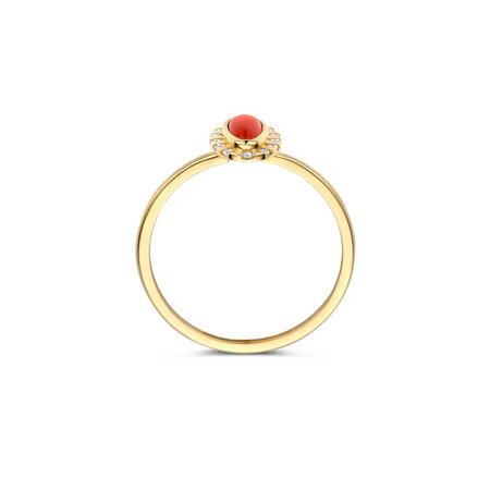 Blush Blush Ring 14k geelgoud met zirkonia en Agaat 1266YRA