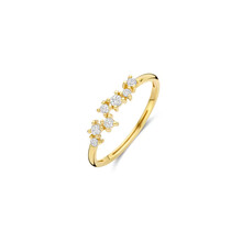 Blush Blush Ring 14k geelgoud met zirkonia 1267YZI