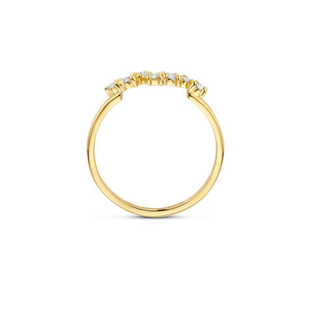 Blush Blush Ring 14k geelgoud met zirkonia 1267YZI