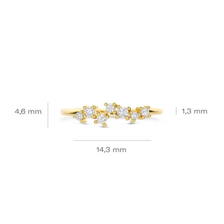 Blush Blush Ring 14k geelgoud met zirkonia 1267YZI