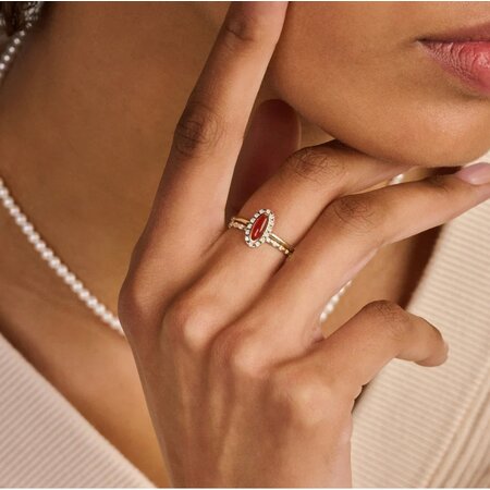 Blush Blush Ring 14k geelgoud met zirkonia 1268YZI