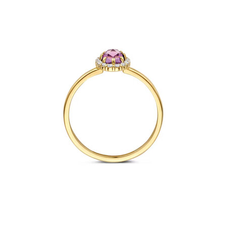 Blush Blush Ring 14k geelgoud met Amethist en zirkonia 1271YAM